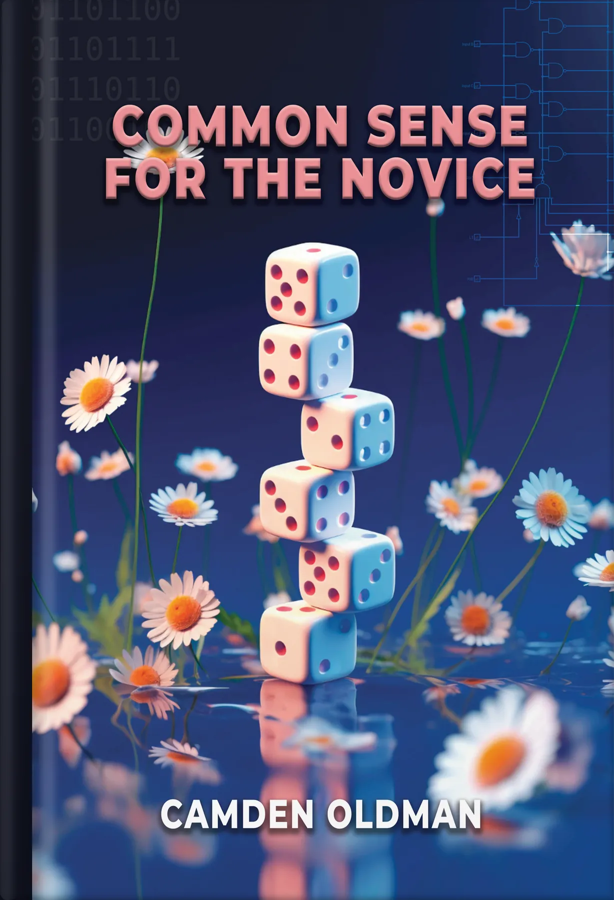 Common Sense For The Novice by Platoon Publishing Group